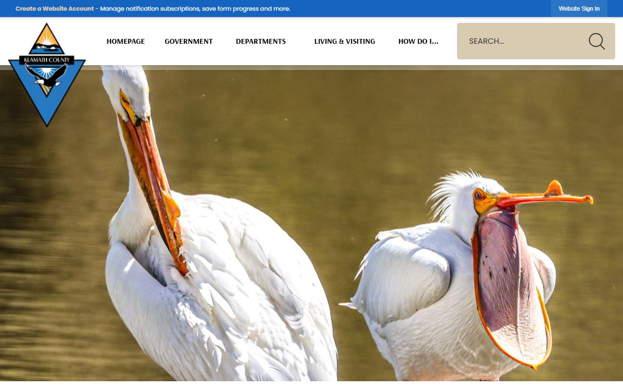 Klamath County government website for traffic ticket records